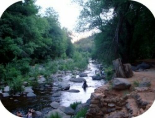The River of Health: A Naturopathic Approach to Wellness (Part I)