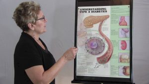 Type 2 diabetes explained by Tina Marcantel, NMD