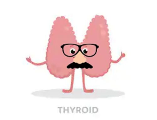 When It’s a Thyroid Problem–But It Really Isn’t